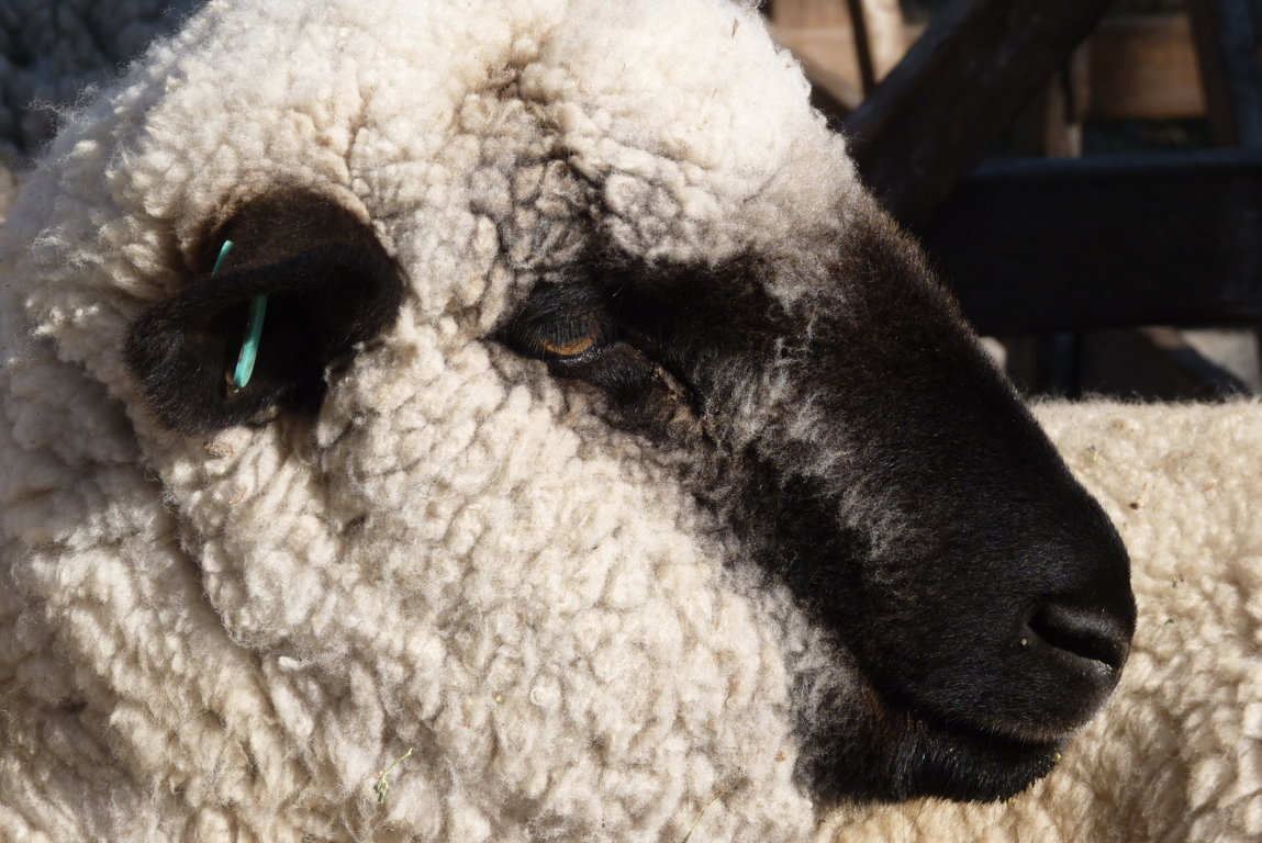 P1410675 (FILEminimizer)