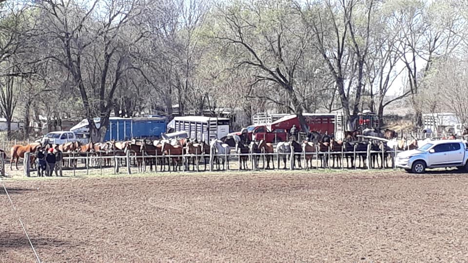 69283779_2642846022393720_7245687803483258880_n