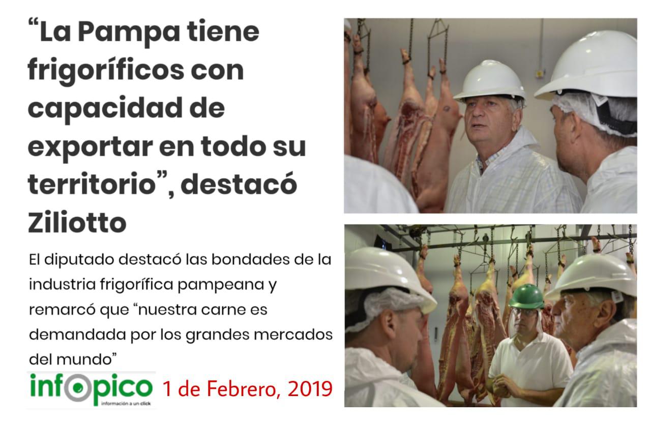 Ziliotto exportación InfoPico