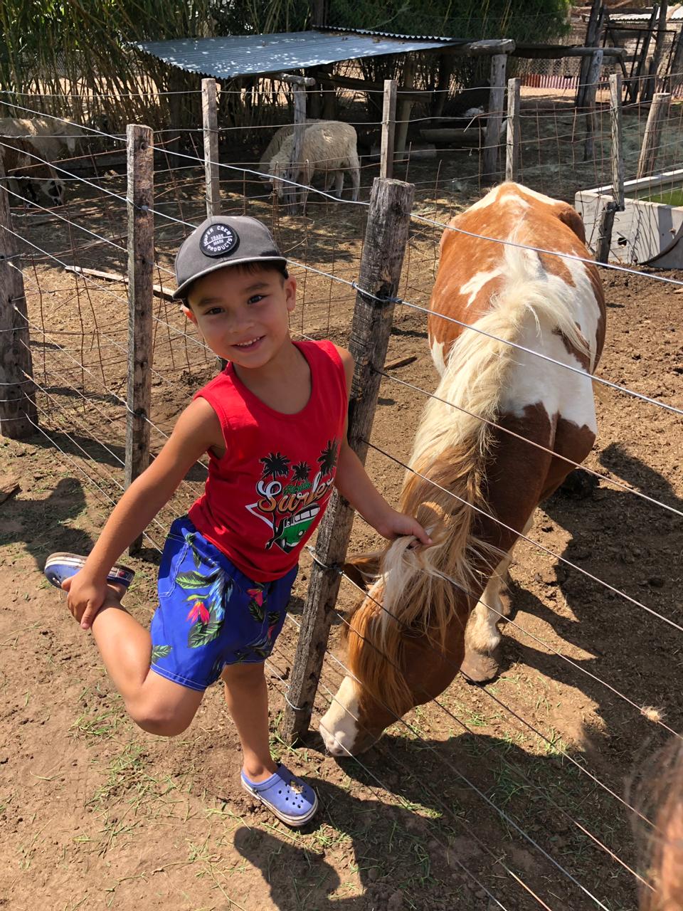 cfab52fc-059d-4196-a73d-dfb8ed13c859