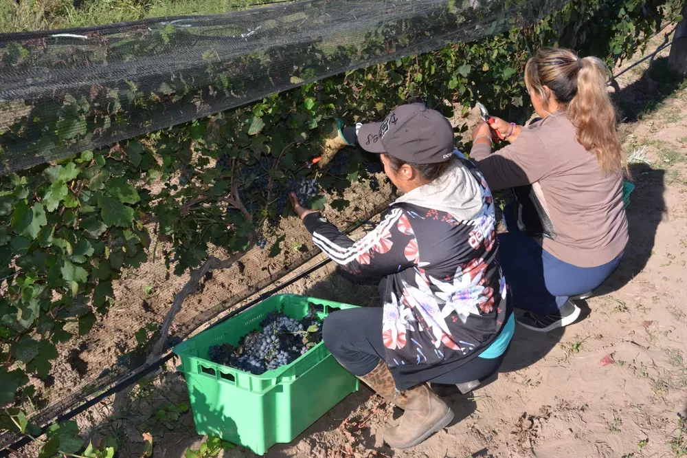 725636_whatsapp-image-2023-03-31-at-16.39.44--1-