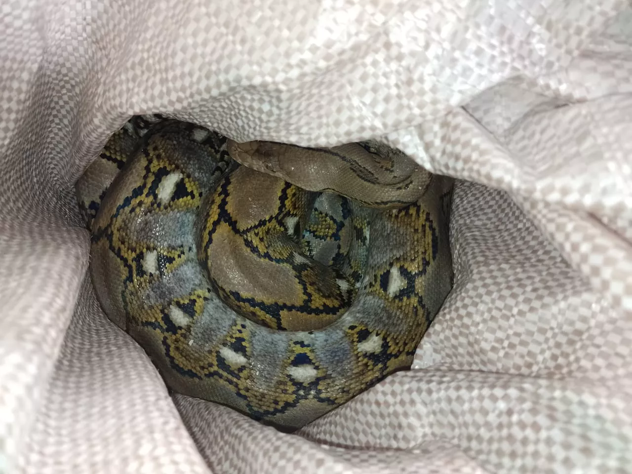 92cadf14-5c70-48a9-9dd6-02896efe4bbf