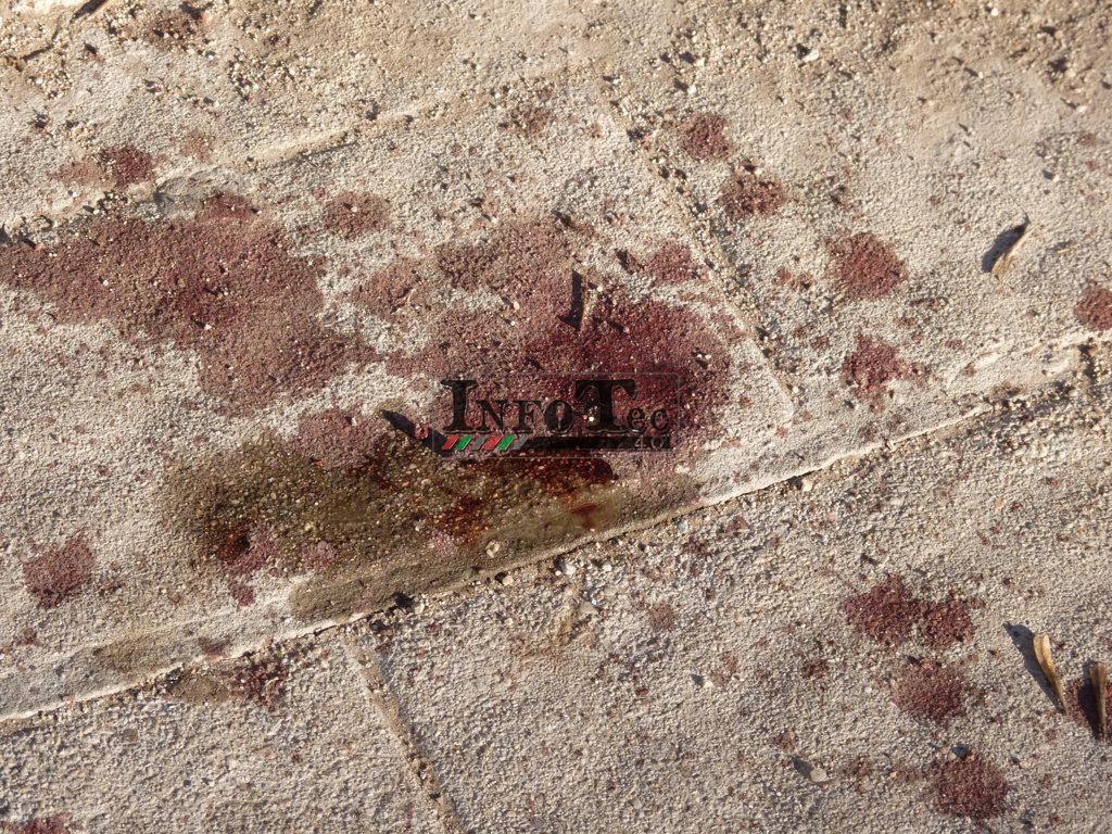 P1230362 (FILEminimizer)