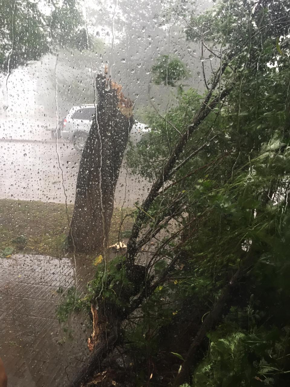 1bef1307-278f-490e-a2ec-f0985f8a80cd