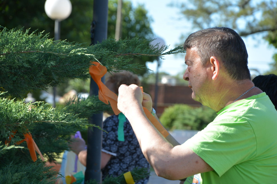 DSC_8040 (FILEminimizer)