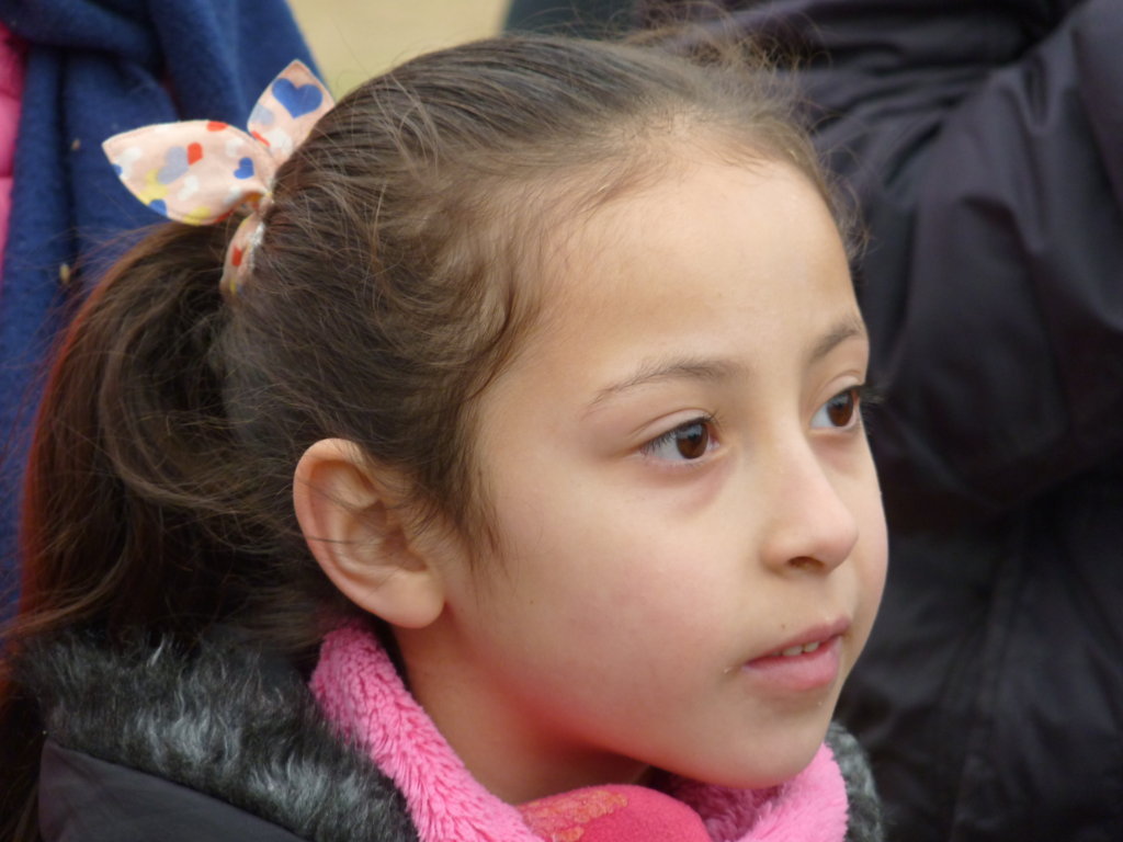 P1250477 (FILEminimizer)