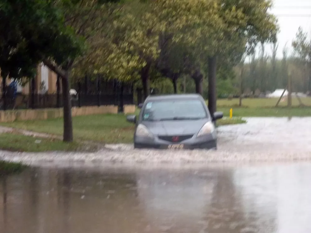 canales 7 (FILEminimizer)