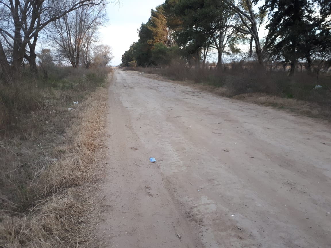 e0e68e56-5ea1-48c8-b5d8-f62dababa163