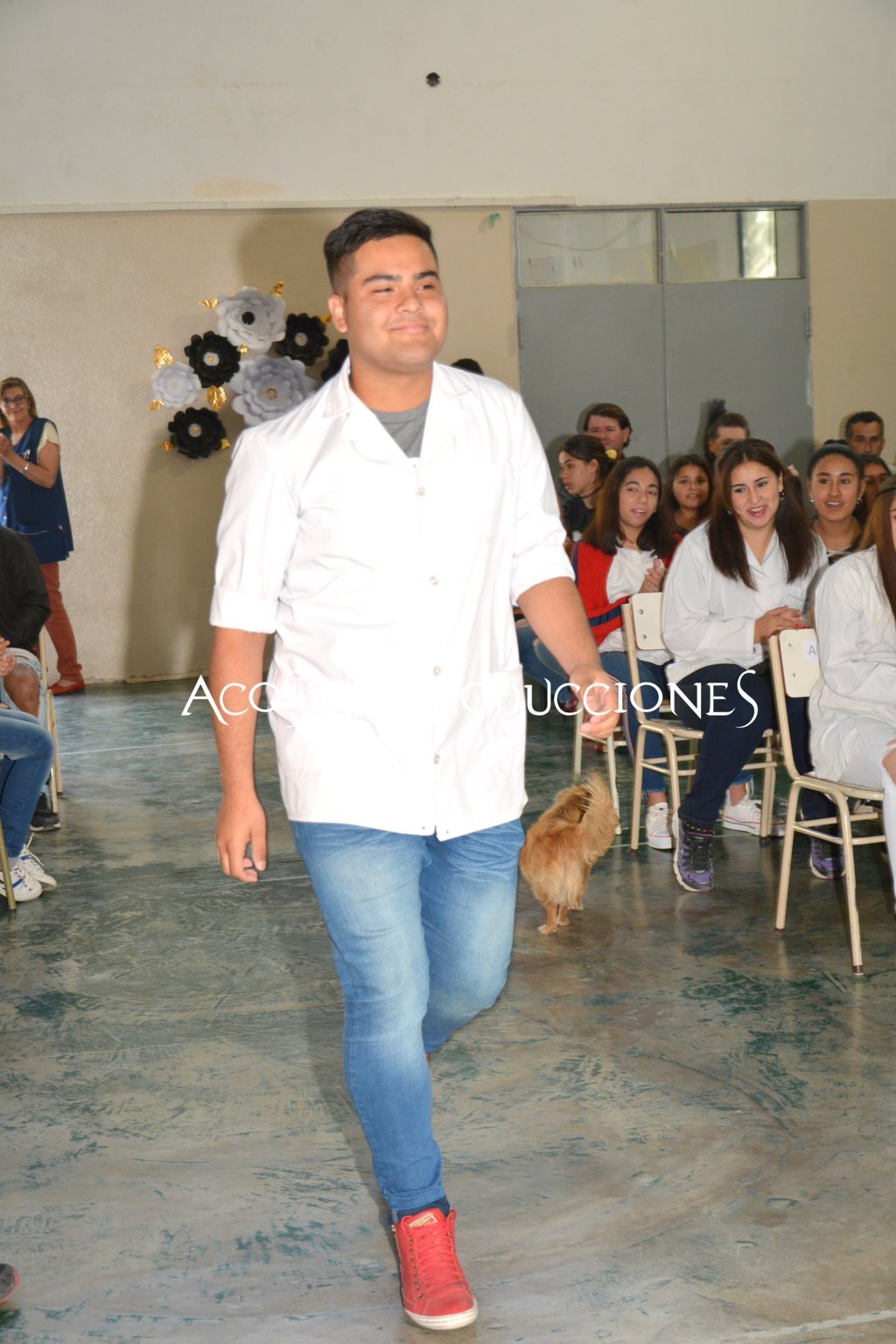 DSC_8248 (FILEminimizer)