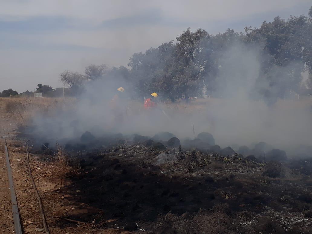 cdd7dff5-0c7f-43cc-82ca-7842f08e9d20