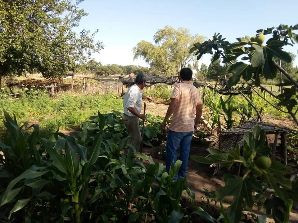 PRODUCTORES AGRICULTURA FAMILIAR 4