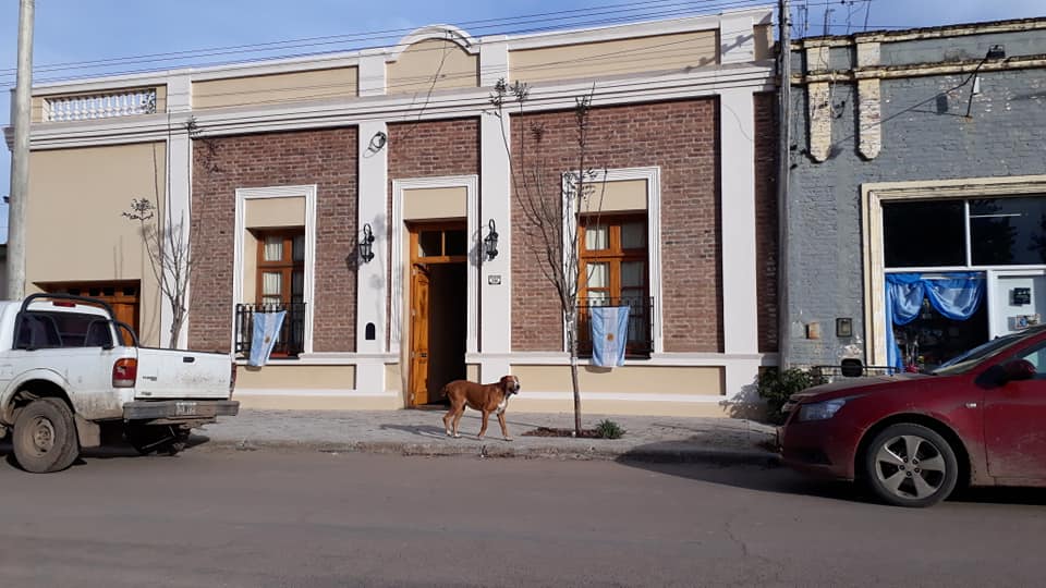 Día de la bandera 14