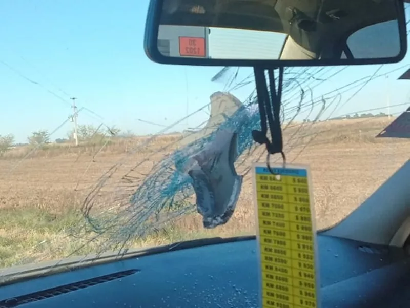 344562984_803287717891914_1510738256809450489_n