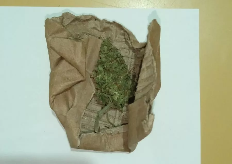 ed52fff9-b0f1-4b87-8352-5340d8c97738