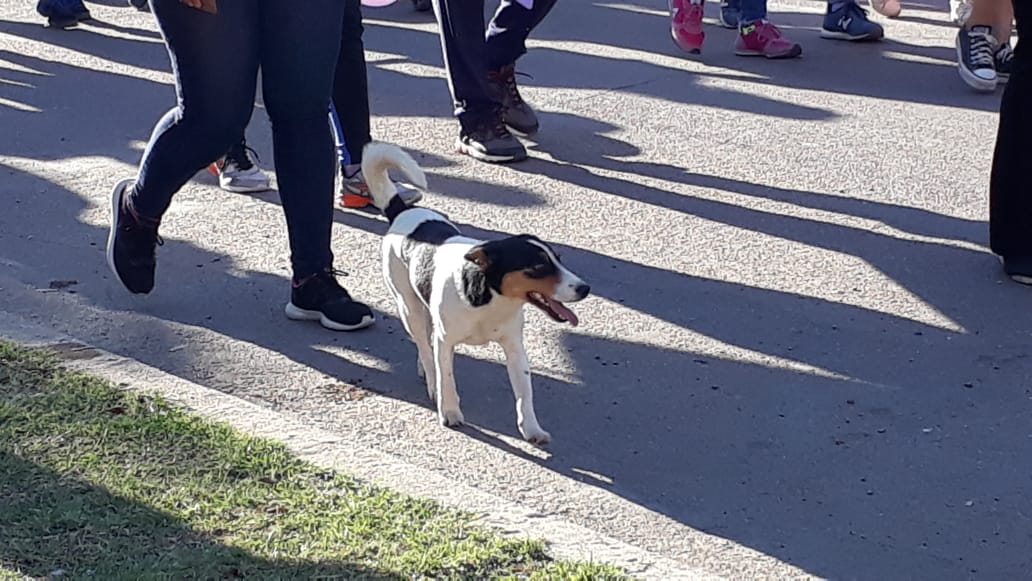 IMG-20191020-WA0052