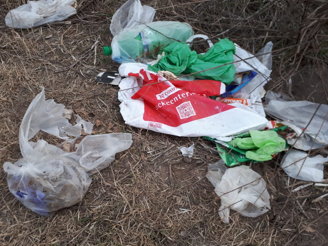 01d3c550-cc31-4f5a-b755-df874bd6c90a