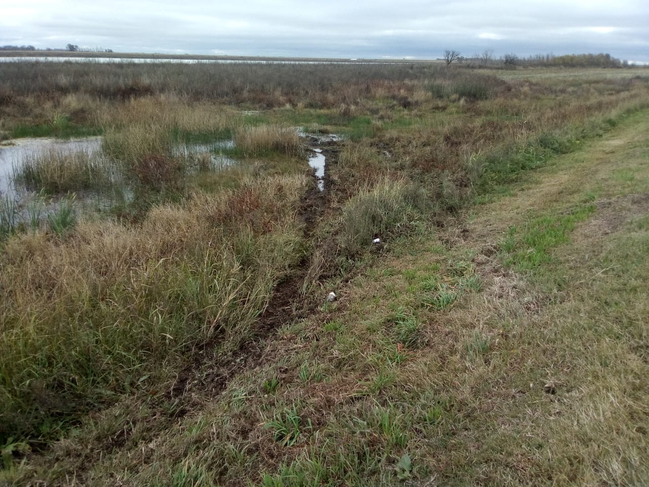 873f955e-85a1-4713-a068-b63dac031a3f