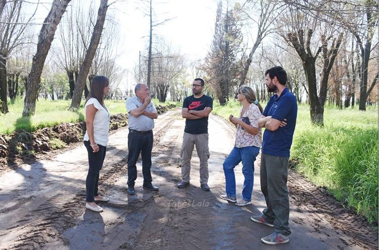 NATATORIO RECUPERACION 2