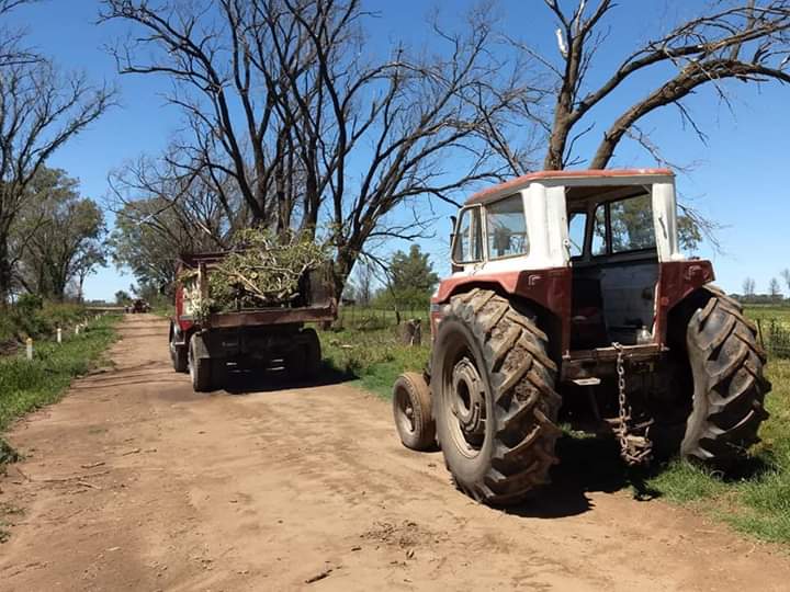 FB_IMG_1546189646526