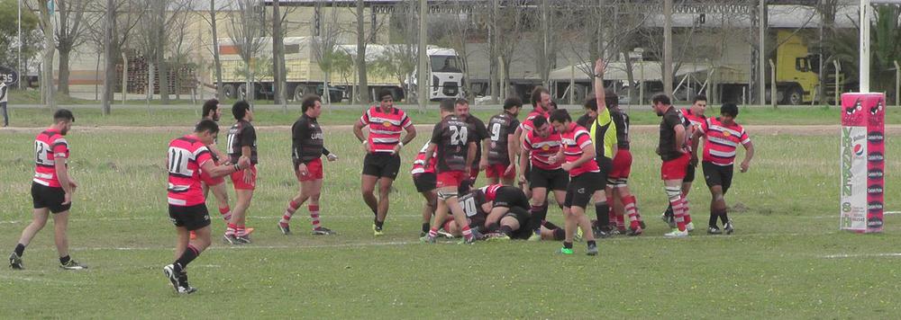 REALICO_FRENTE A KAMIKAZES1