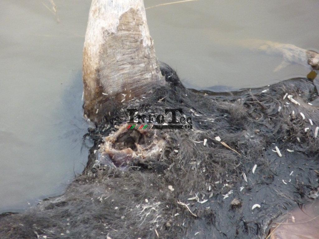 P1250391 (FILEminimizer)