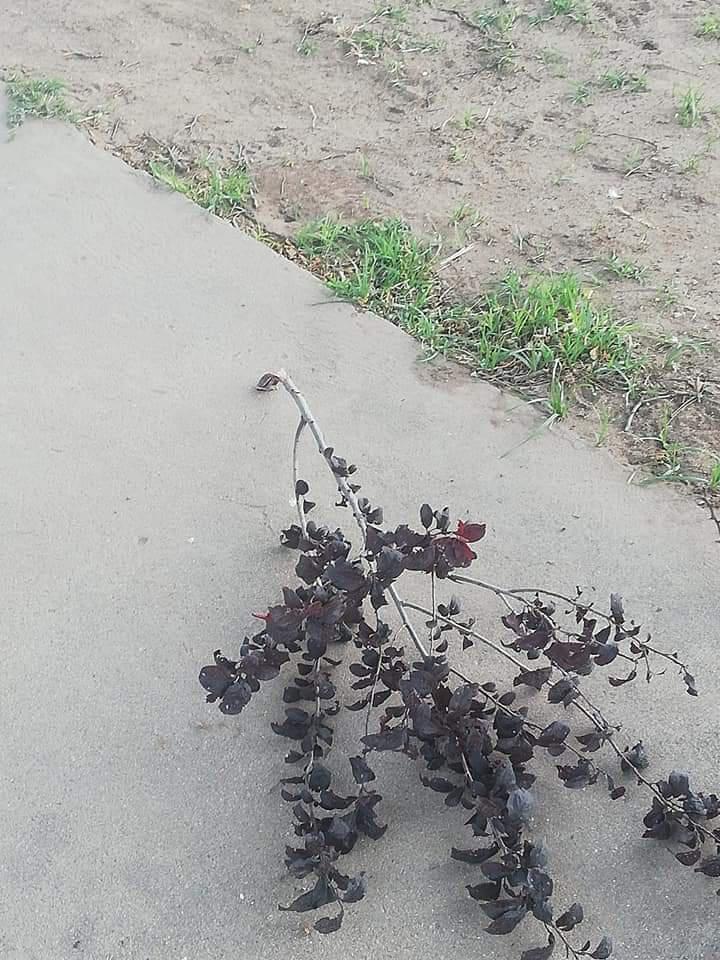 8c340e65-ec4c-437d-921f-ac96da85791e