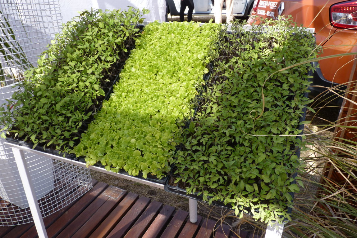 P1410781 (FILEminimizer)