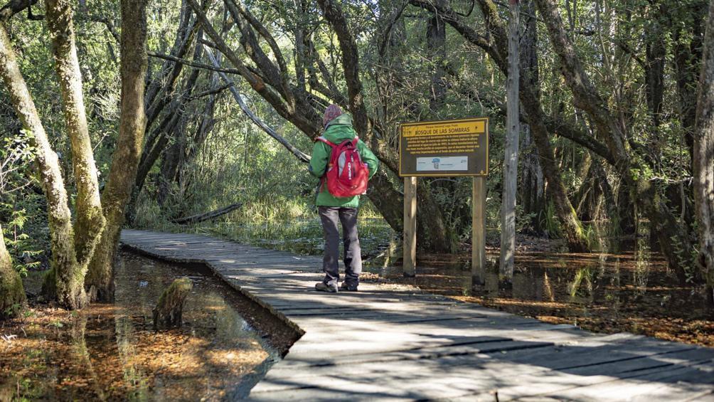 5f91faee0a4ca_1004x565