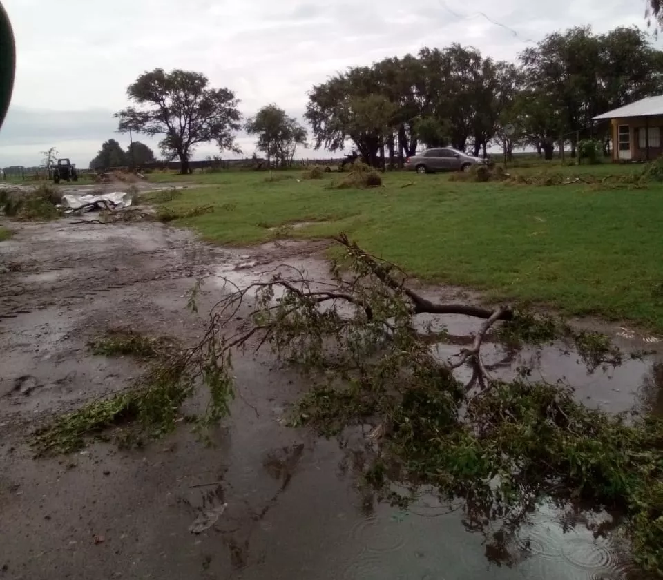 c22ef25e-c43e-41a9-a44b-de4919e520c1