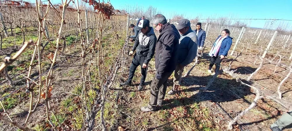 926489_20220811_111453