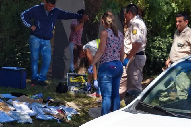 694a4d30-cd6e-4529-b77e-e80927b25aad-fit-666x444