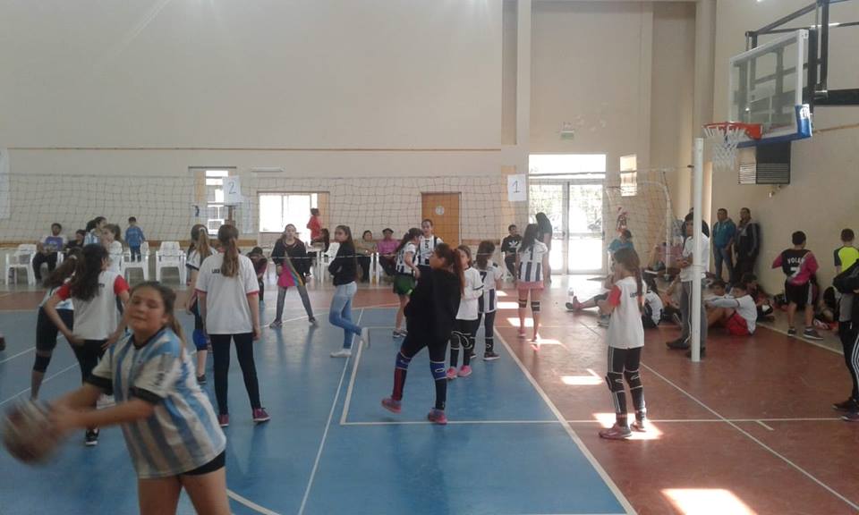 41445127_877152519340423_7508692397891518464_n