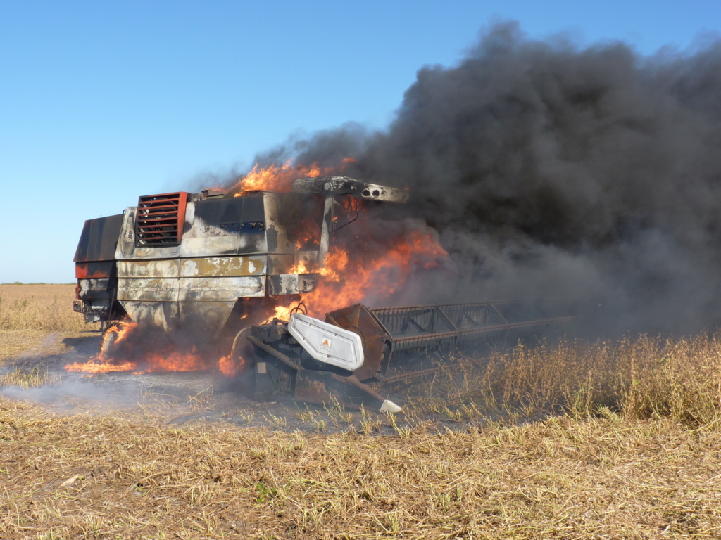 P1350489 (FILEminimizer)