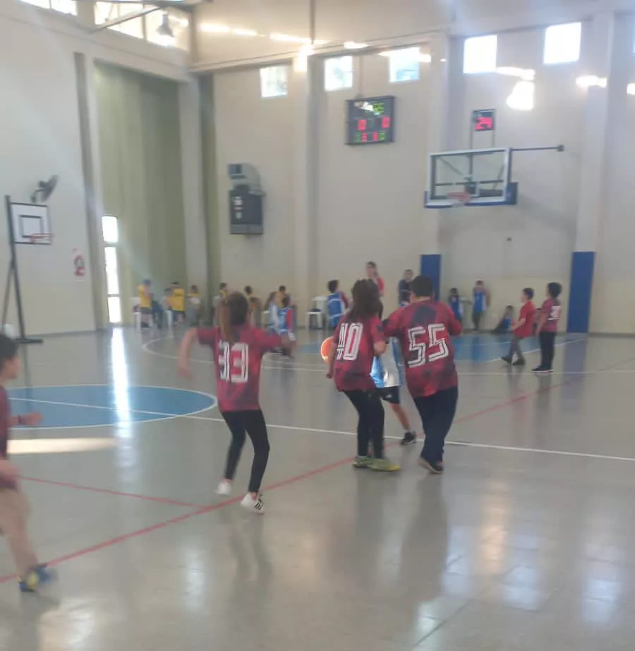 95ea2339-d17f-4ec5-93c9-c535c72f6b3d