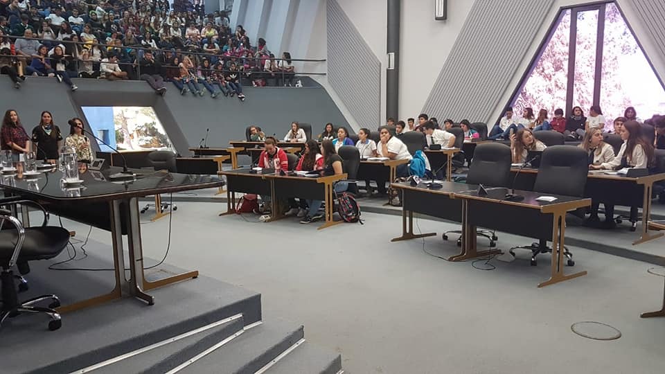 60231501_2448092931869031_2012376071495745536_n