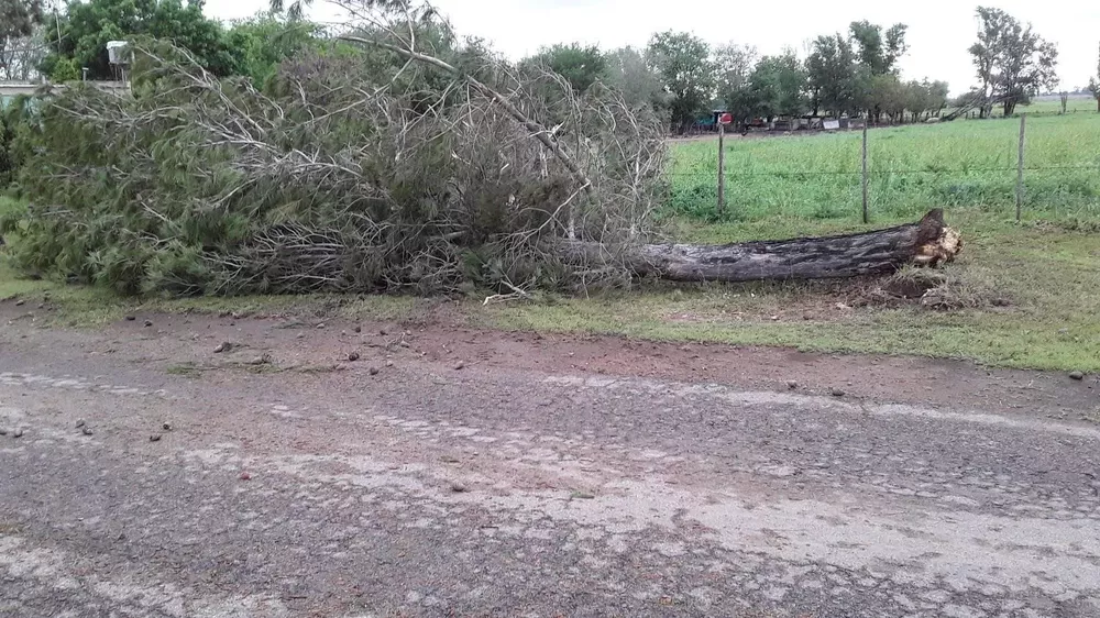 243223369_212143594345512_47024851168026361_n