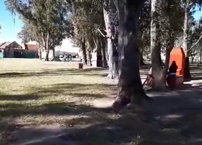 POLI DIA DEL ESTUDIANTE 3