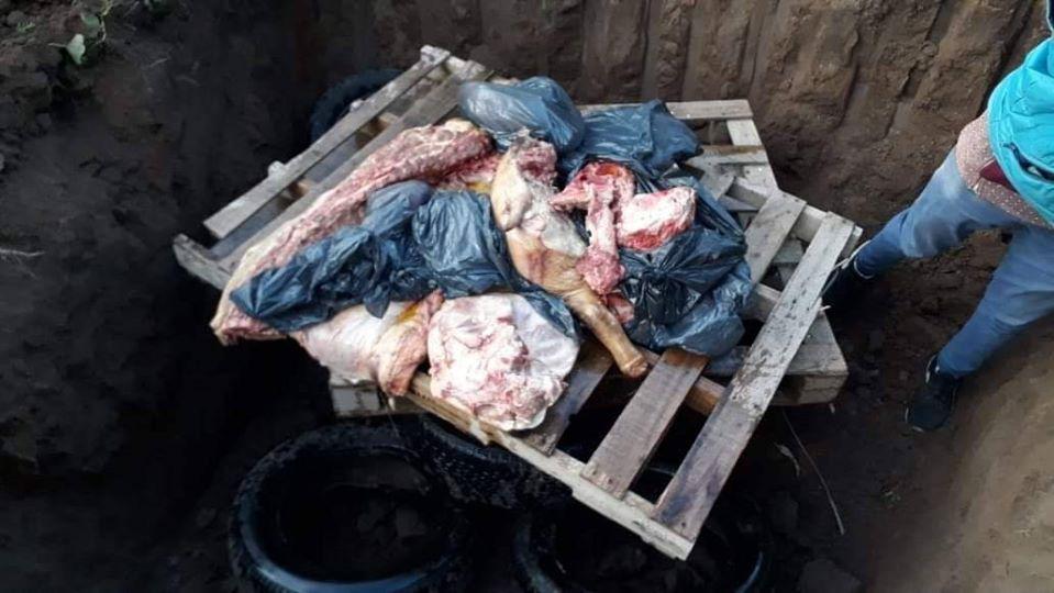 107784028_3952444248163384_5104922834746374482_o