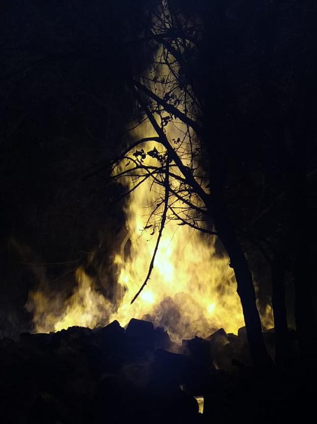 036ca21e-c1ad-4991-8de7-515d916e53eb