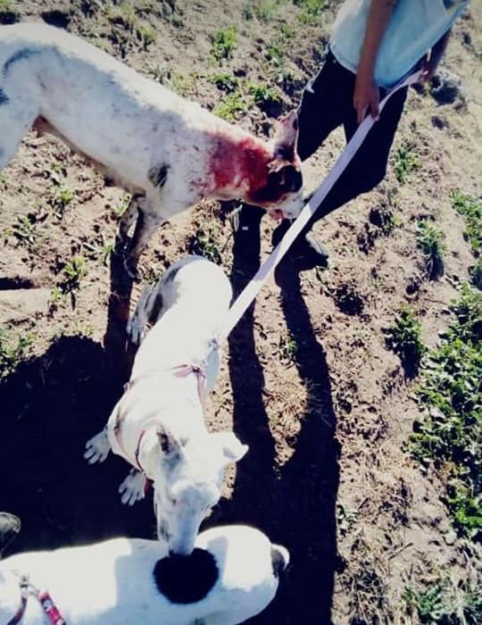 103772658_144665517191913_5629586271164857930_n