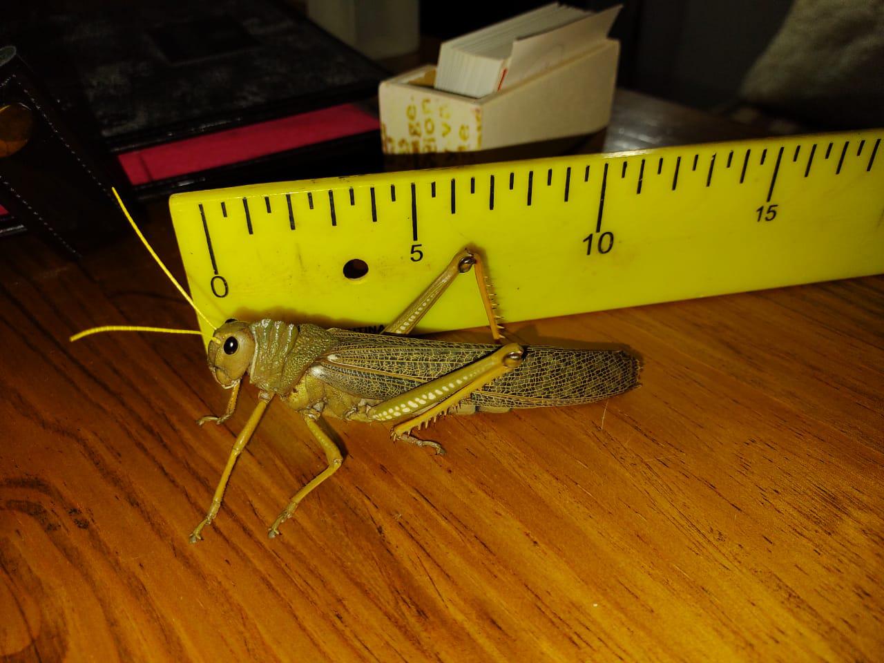 a6fa7071-8b4b-47e6-9268-5412041637ae