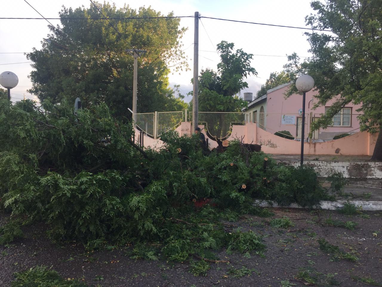 9614210b-51f5-4d55-91eb-ca3f710e5454