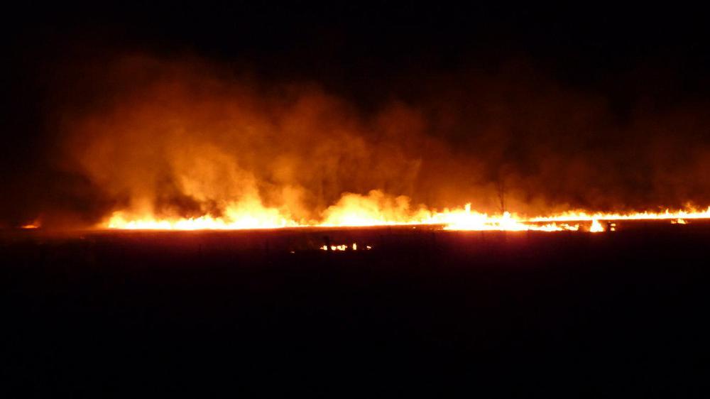 P1050467 (FILEminimizer)