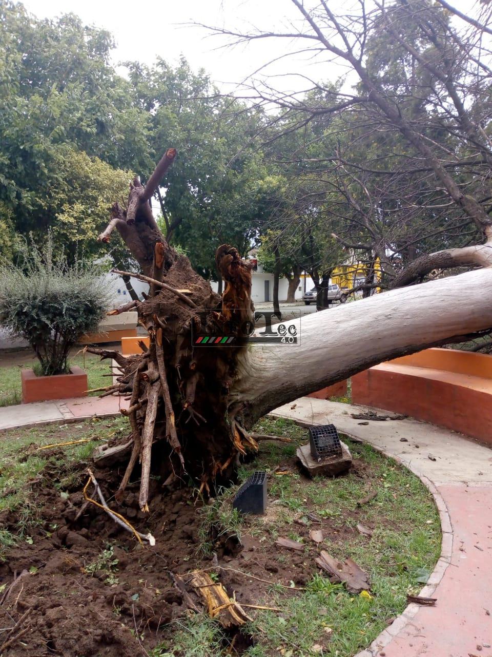 216b8691-3920-493f-a0fa-f60d3b77edd6