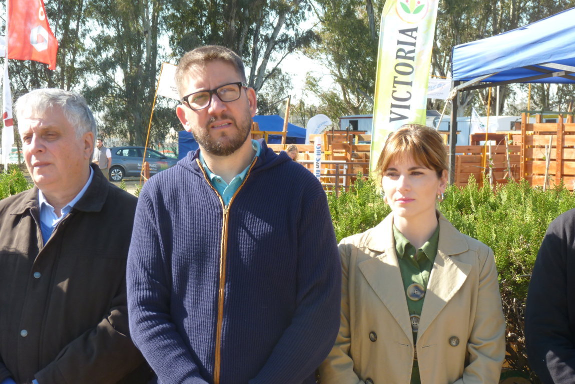 P1410728 (FILEminimizer)