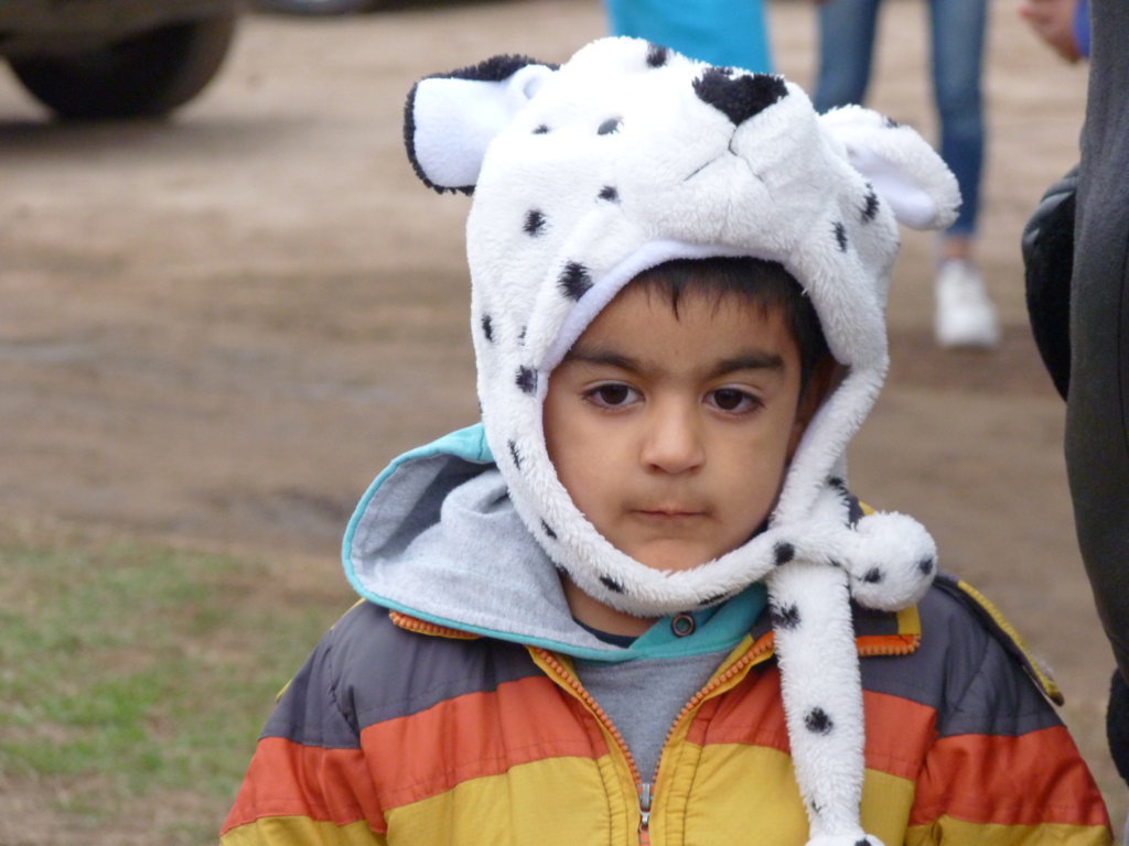 P1250446 (FILEminimizer)