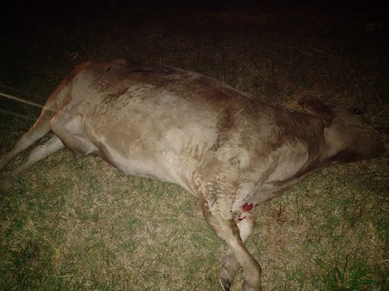 29df5f8a-f9e8-4571-a728-235e459c6567