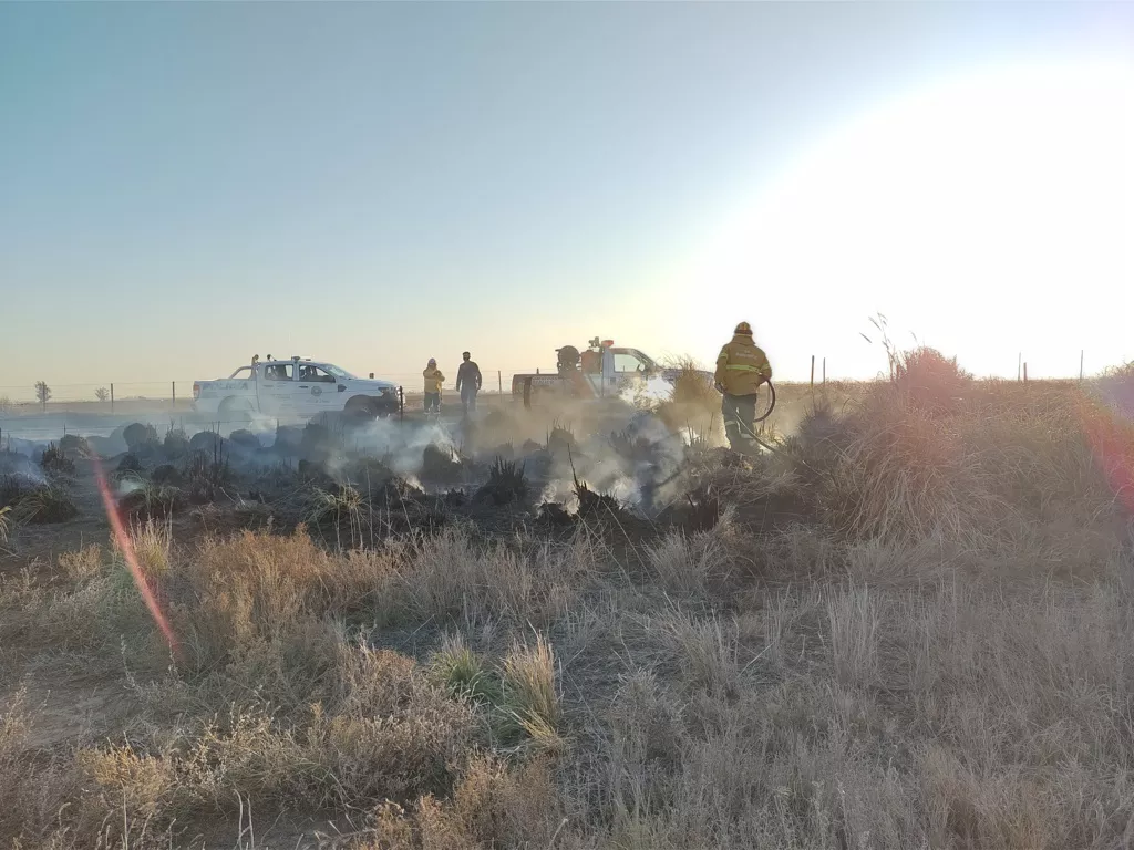 IMG_20210802_175600527_HDR (FILEminimizer)