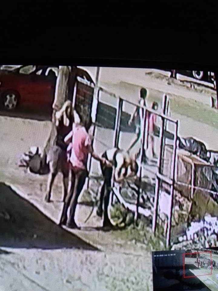 44295980_10161457476025393_850616688129867776_n