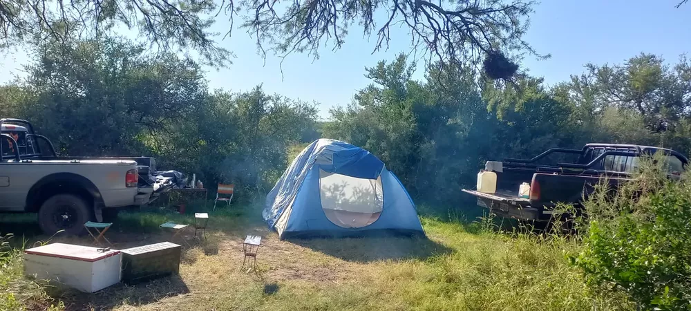 b66c3c41-e427-44a2-a53a-92999c88507f